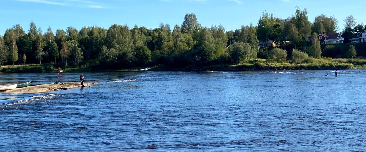 Forshaga Fiskevårdskrets - Image 1