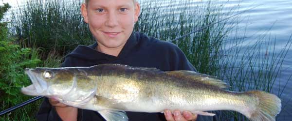 Blysjön med flera sjöar - Image 1
