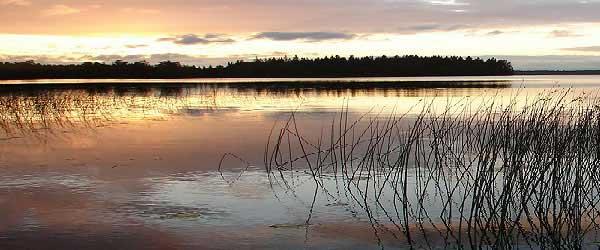Spexhultasjön - Image 1
