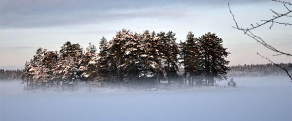 Hjärtasjön-Östersjön och Molången - Image 1
