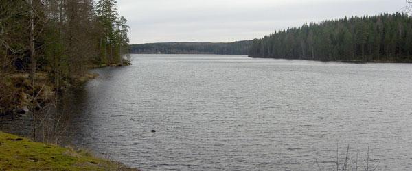 Svansjöarna, Ämmeskogsjön, Eldan mfl - Image 1