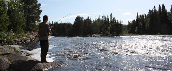 Photo of Fiskevägenkortet