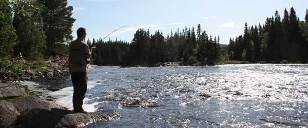 Fiskevägenkortet