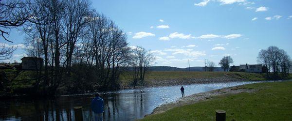 Viskan (Kullagård, Åsbro) - Image 1