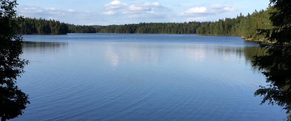 Stora Lövsjön, Gärdsjön m fl sjöar - Image 1