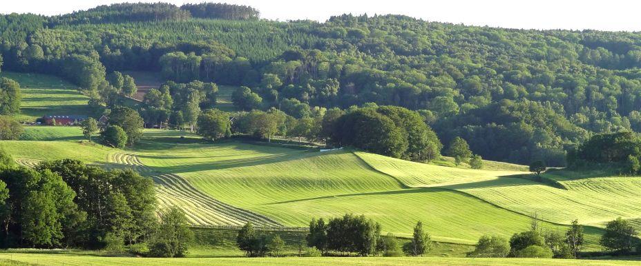 Stensån - Image 1