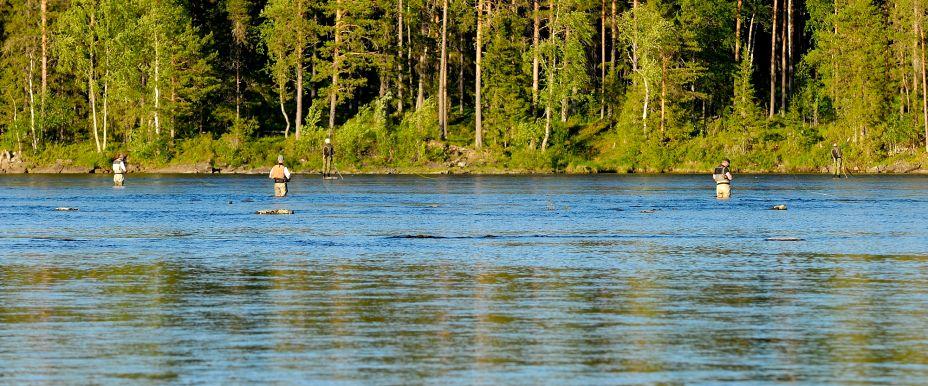 Sandvikssjön, Edsforsen m fl vatten - Image 1
