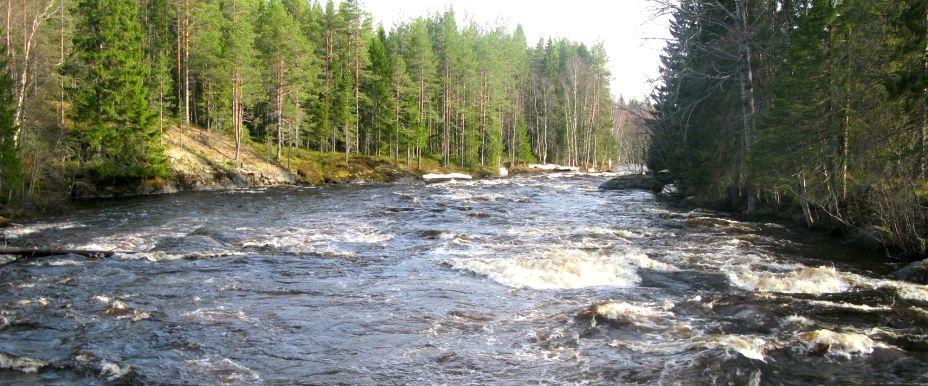 Rickleån Övre - Image 1
