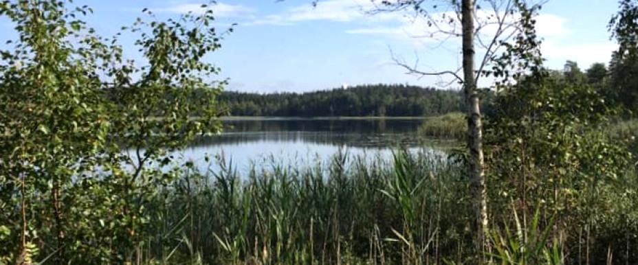 Lången, Klevasjön, Fäsjön m fl sjöar - Image 1