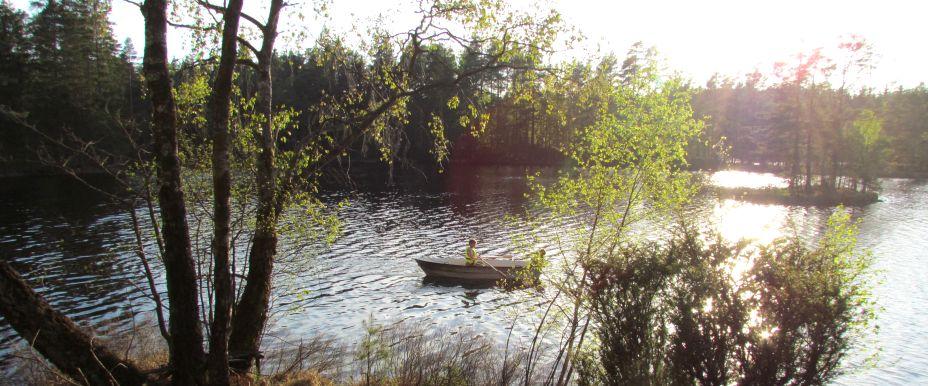 Älvasjön - Image 1