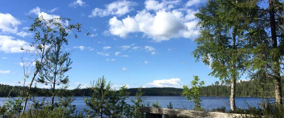Fillingsjön, Håltjärnet, Orsbytjärnen m fl vatten - Image 1