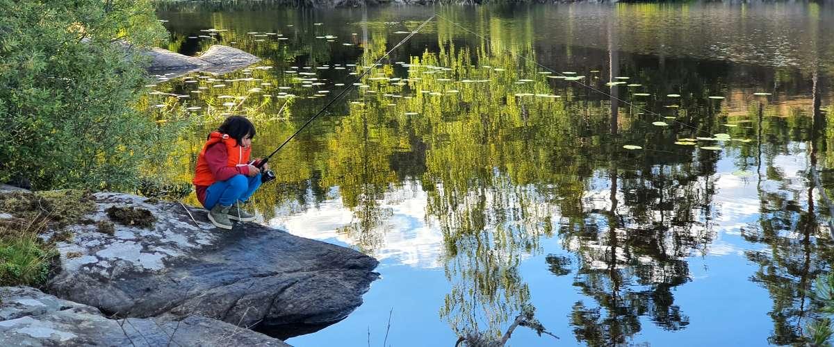 Holmedalssjön, Lianetjärn m fl vatten - Image 1