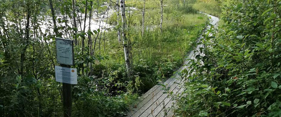 Ängomstjärnen - Image 1