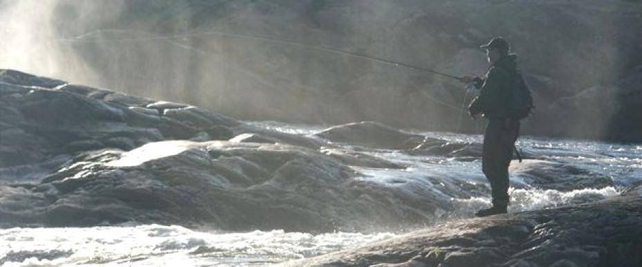 Djupsjön, Abborrtjärnen, Östbytjärnen m fl vatten - Image 1