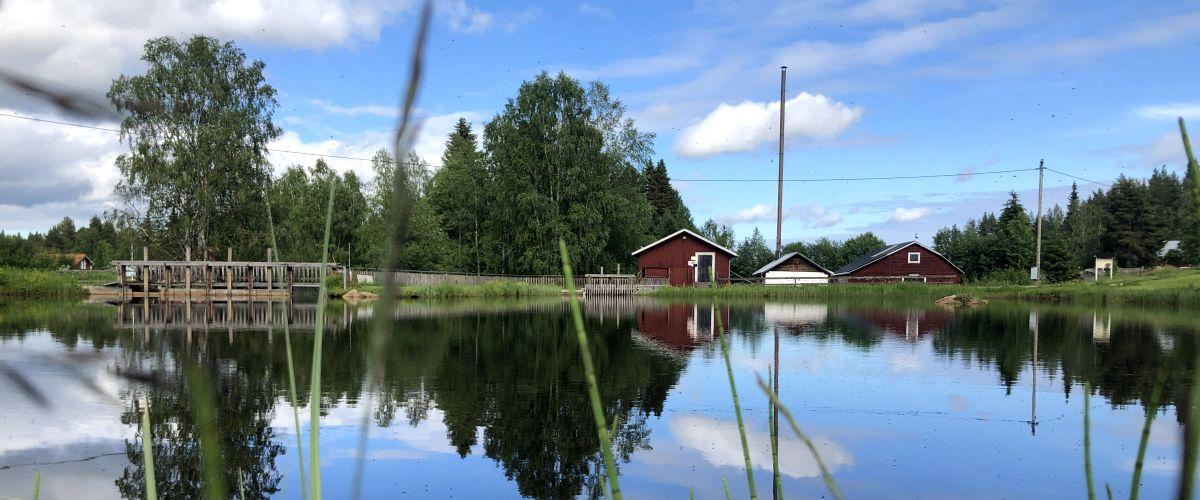 Kvarndammen