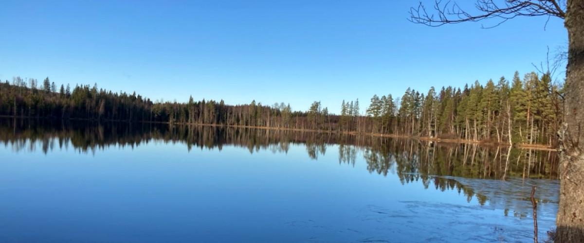 Djupsjön, Öravattnet, Selångerån m.fl vatten - Image 1