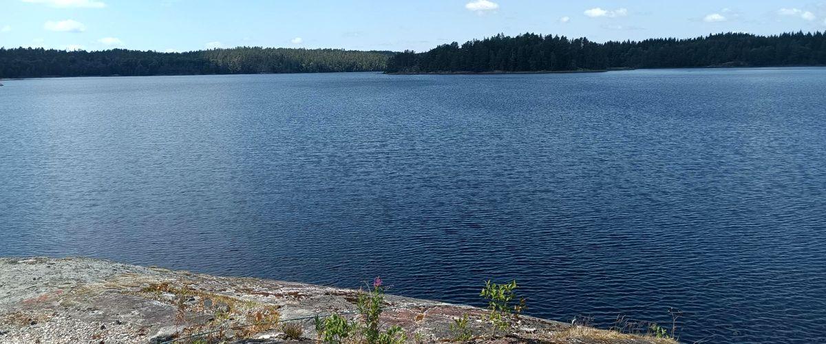 Mellan-Kornsjöns FVOF - Image 1