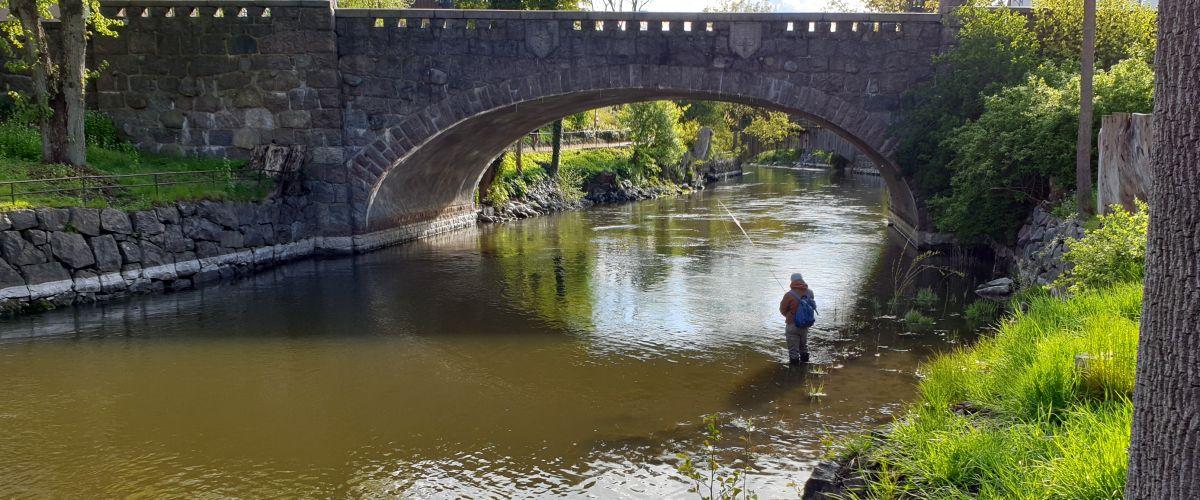Photo of Nyköpingsån