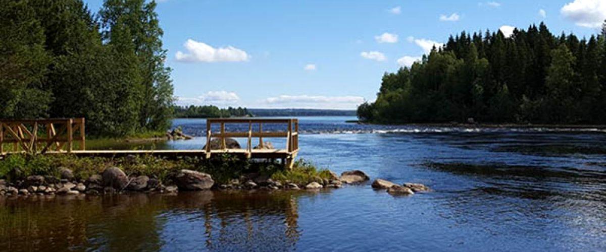 Luleå FVOF - Image 1