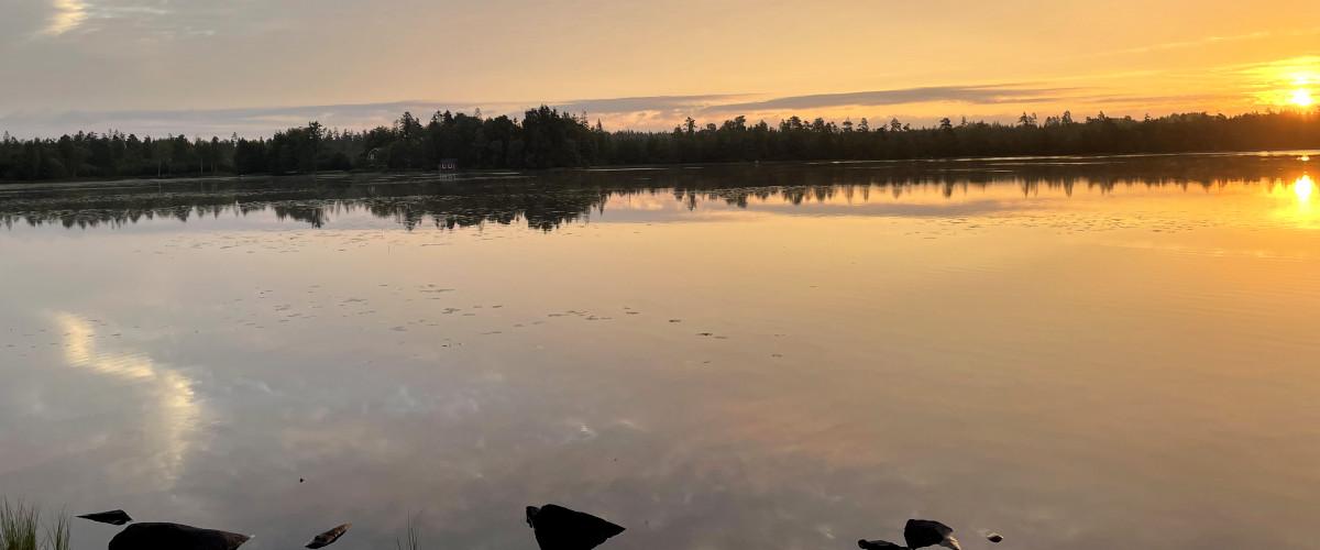 Lenhovdasjön - Image 1