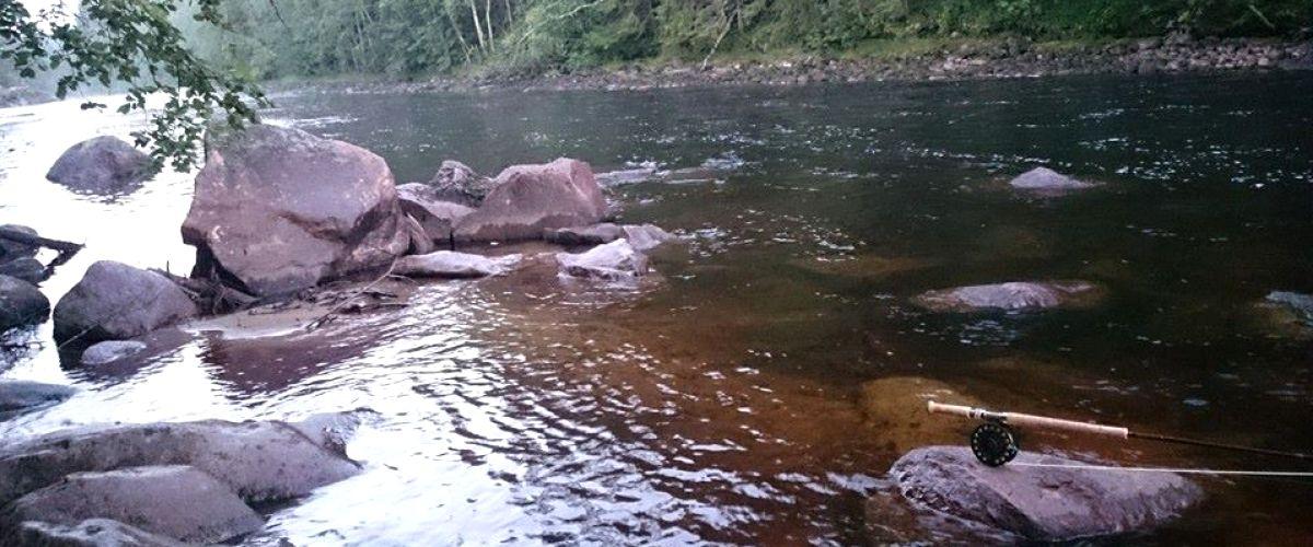 Långforsen övre del
