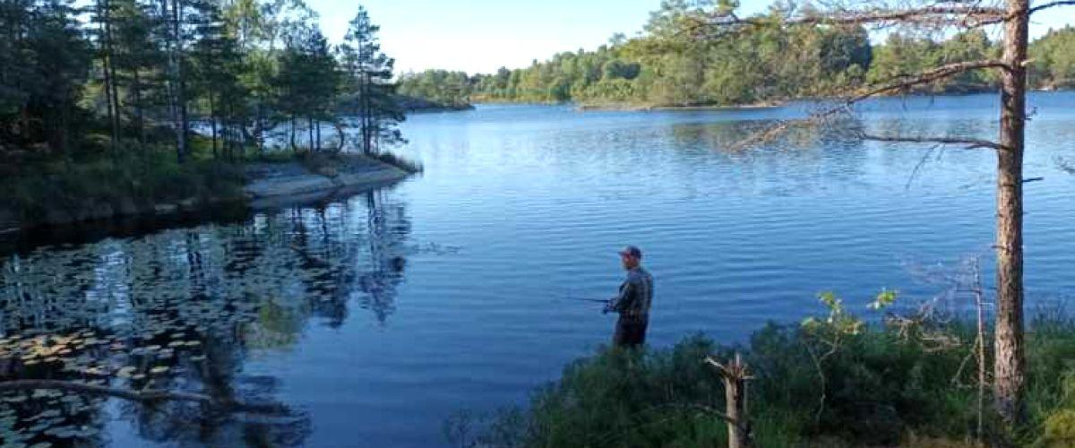 Hornboresjön FVO - Image 1