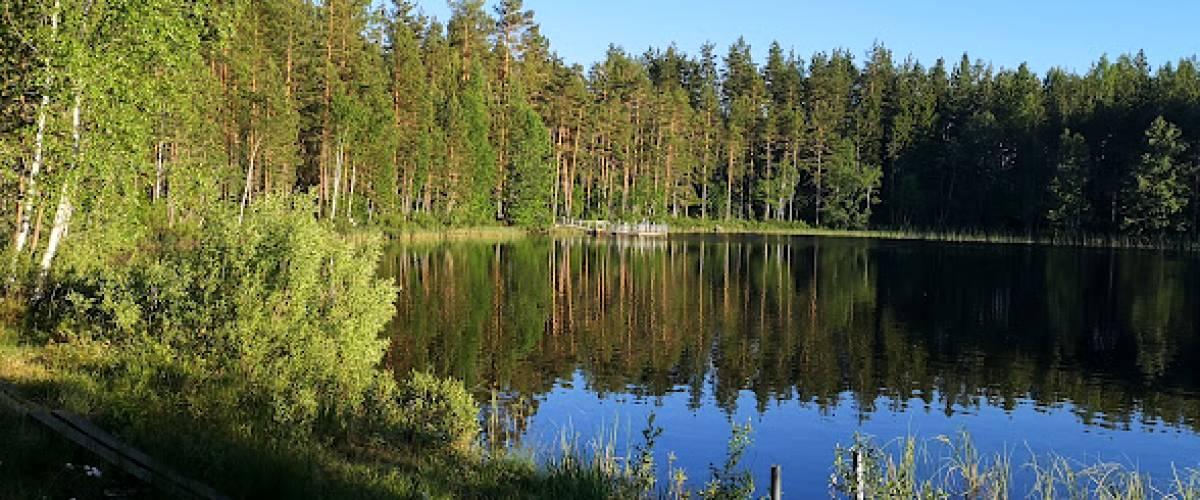 Järbo SFK Djuptjärn och Svarttjärn - Image 1