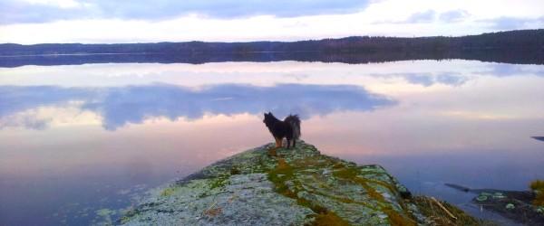 Norra Lelångs - Image 1