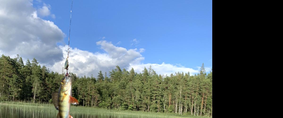 Hästhultasjön, Marsåsgöl, Andersborgsgölen, Hundsögöl och Helvetesgölen - Image 1