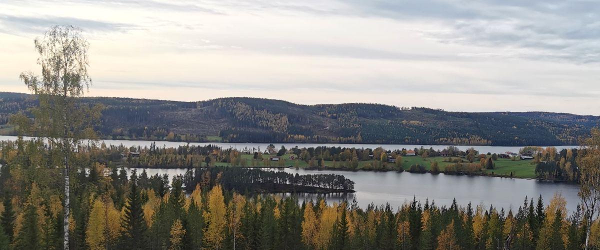 Anvikssjöns FVOF - Image 1