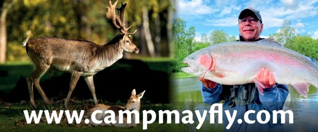 Camp Mayfly - Ekdala