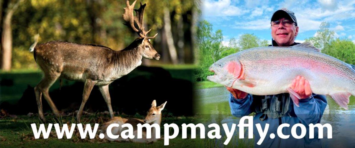 Camp Mayfly - Norrefors - Image 1