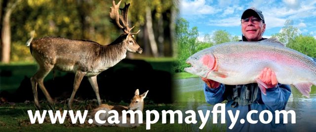 Camp Mayfly - Ulvereds Hjorthägn