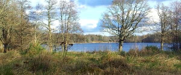 Bysjön, Övre Virken - Image 1