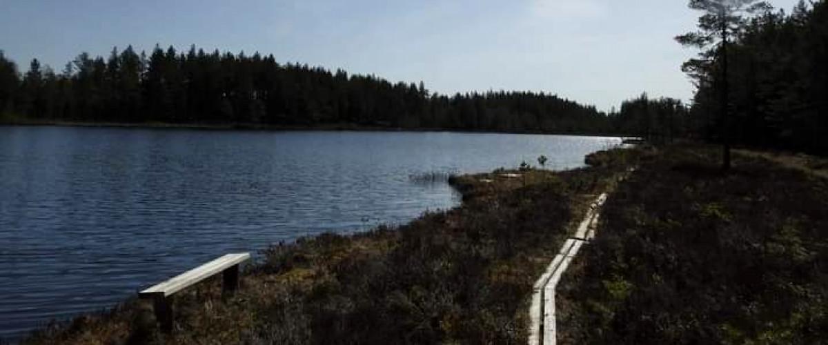 Photo of Storfors flugfiskeklubb Bergtjärn och Abborrtjärn