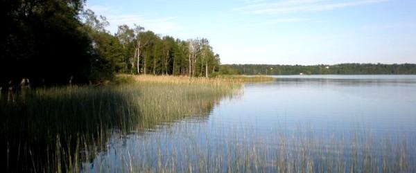 Noen - Image 1