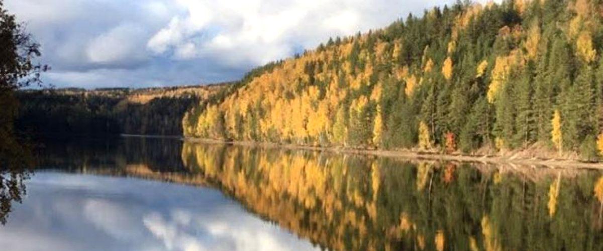 Indalsälven Fors FVO - Image 1