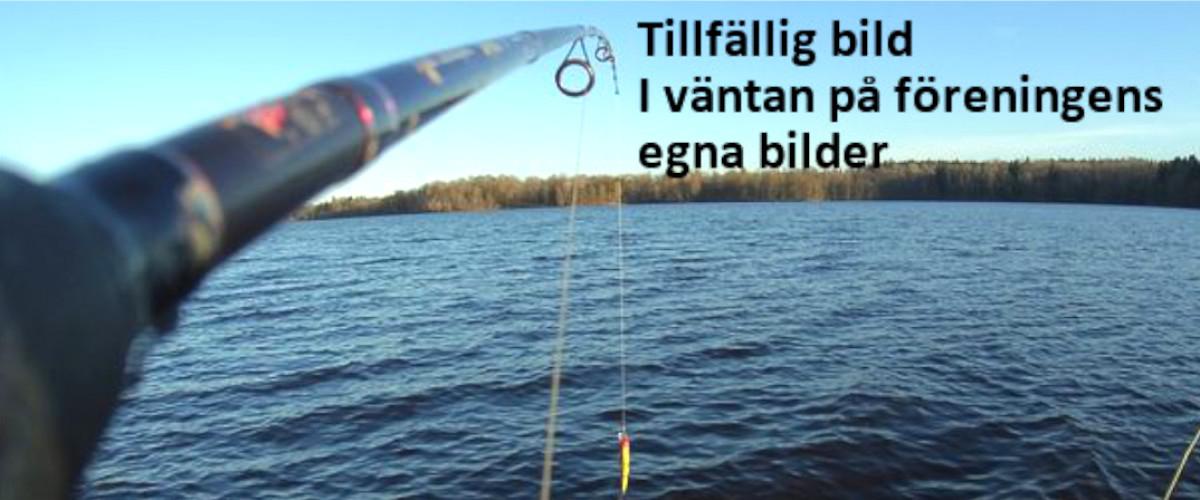 Storasjön-Sävsjöns M.fl sjöars FVOF - Image 1