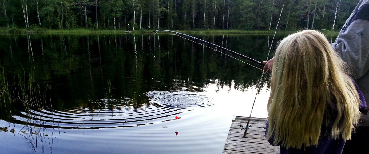 Åstjärnarna, Igeltjärn, Orrsjön och "Övriga vatten". - Image 1