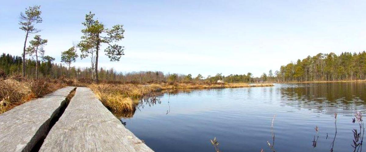 Säfstjärn