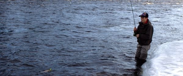 Grånssjön (karpfiske)
