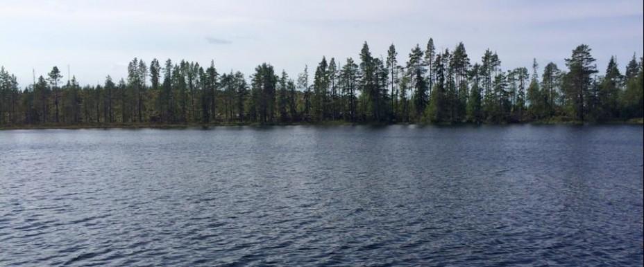 Dellensjöarna, Svågan mfl - Image 1