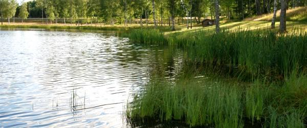 Ljungsjön - Image 1
