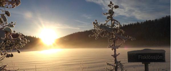 Photo of Fisklössjön, Stor-Gussjön mfl