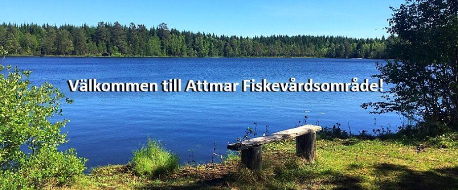 Attmar FVO - Image 1