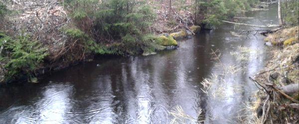 Lillnömmen - Image 1