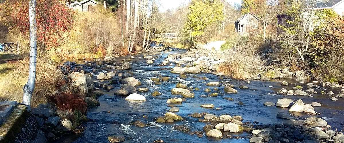 Helgum-Gådeåns FVOF samt Nässjön - Image 1