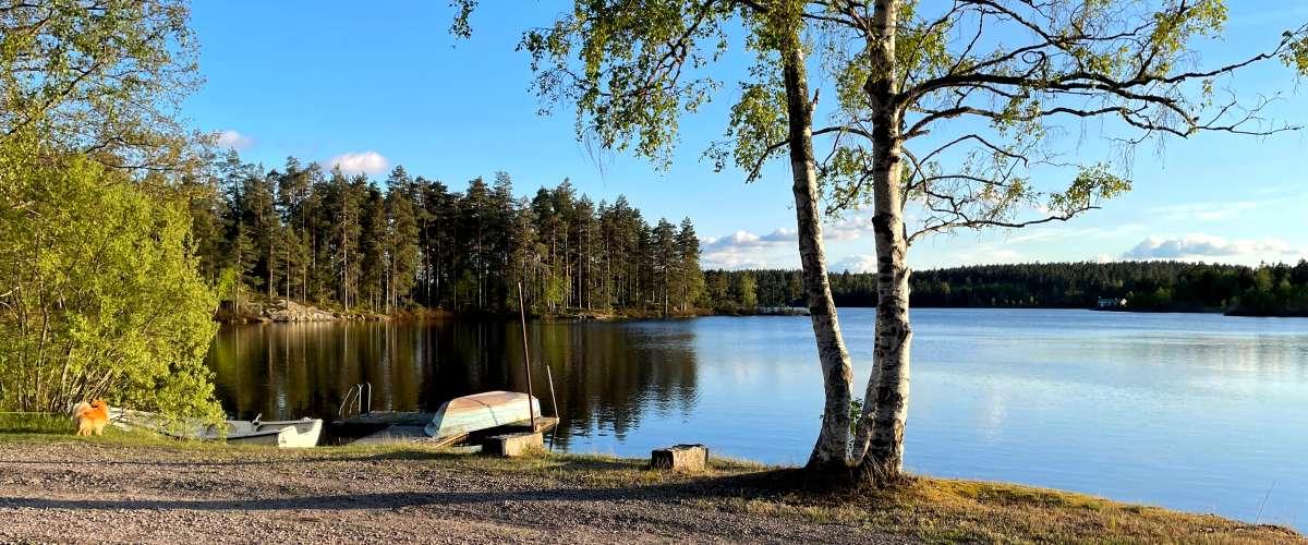 Älmten Broasjö