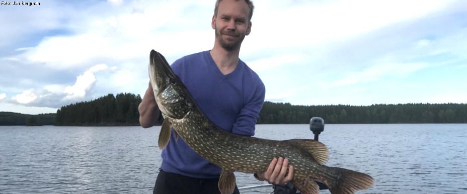 Aspensjöarna mfl. - Image 1