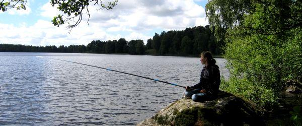 Photo of Bredvistens FVOF